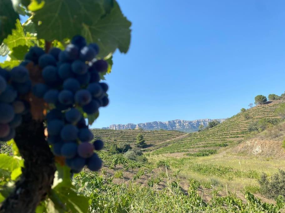 Vinyes Del Priorat Apartment Cornudella de Montsant ภายนอก รูปภาพ